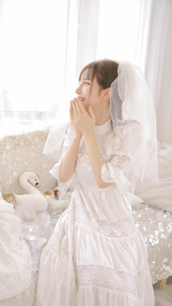 下载入口示意图